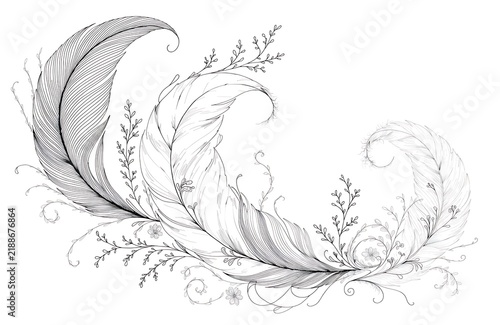 Elegant feather and leaf decorative illustration with fine lines