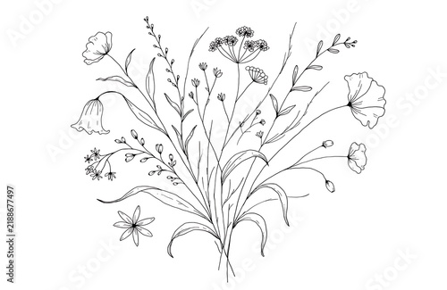 Black and white botanical illustration of wildflowers and plants