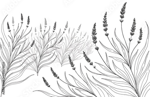 Dried ornamental grass stalks with seed heads in natural arrangement