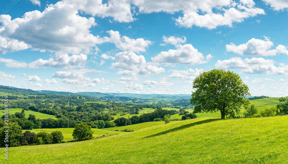 Obraz premium Green tree on a rolling green hill landscape under blue sky with white clouds vector graphic design