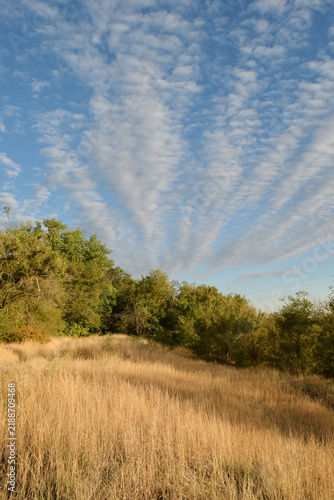 Fotografie Golden grassland stretches toward a tree line beneath striking crepuscular rays