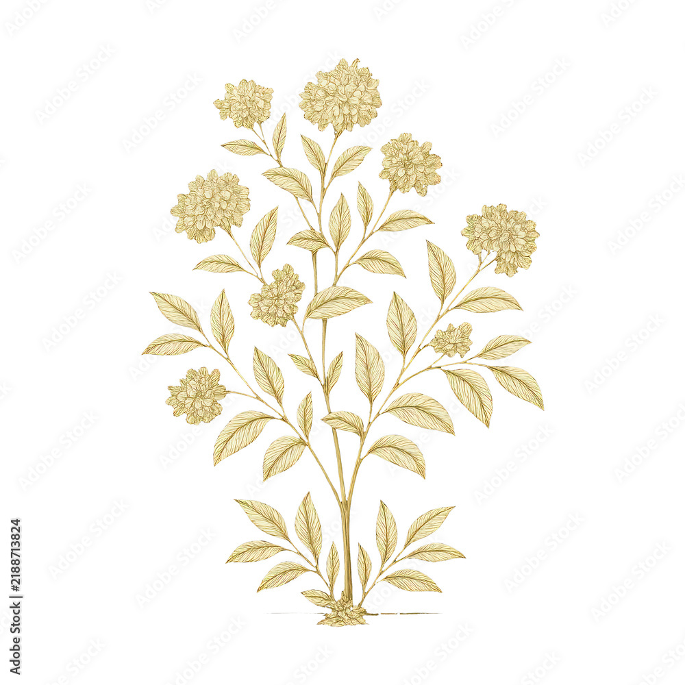 Obraz premium PNG Elegant golden floral illustration