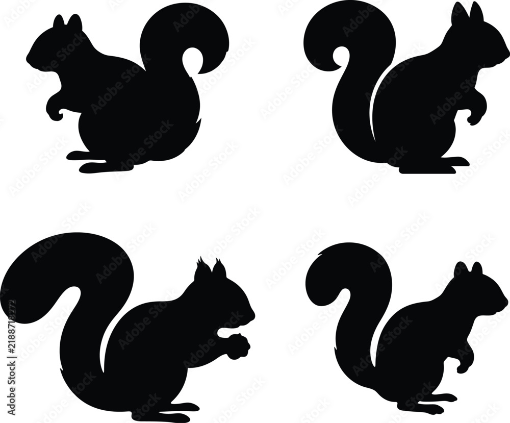 Obraz premium Squirrel silhouette vector. Squirrel outline vector icon set