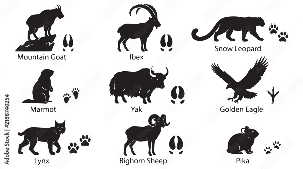 Fototapeta premium Mountain Animals Paw Prints Tracks Silhouettes Set, Wildlife vector icons set, Black nature symbols for educational charts and outdoor, leopard, golden eagle, lynx, yak, bighorn sheep, marmot, pika.