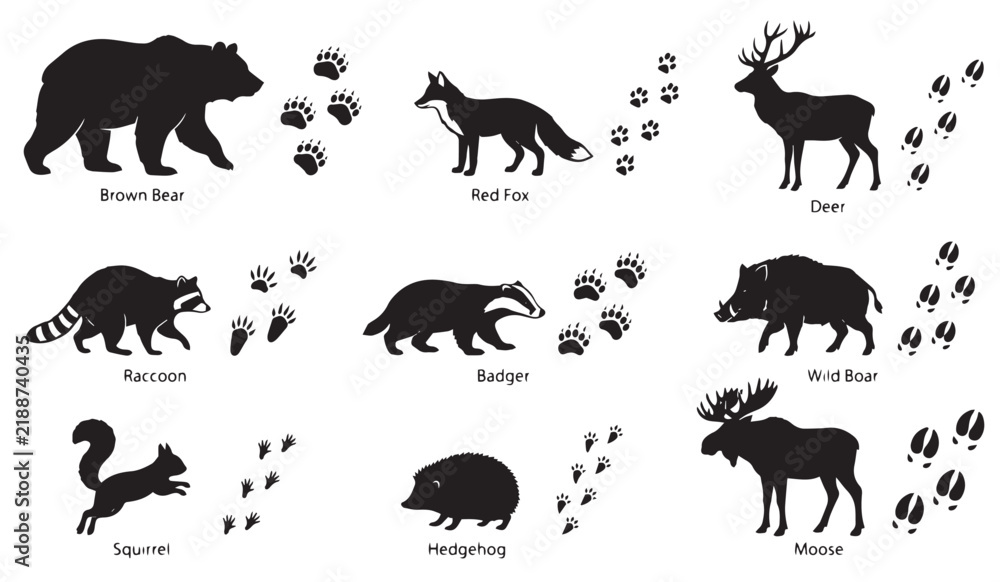 Fototapeta premium Forest Animals Tracks Paw Silhouettes Set, Wild animal icons with tracks, Black wildlife vector graphics for nature education, hedgehog, moose, nature, hunting, biology, education, footprints.