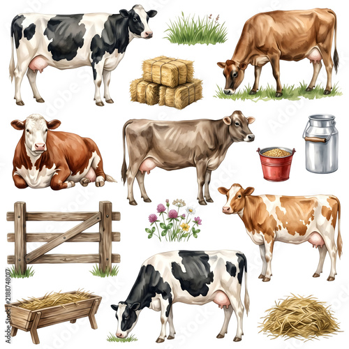 Dairy Cows Farm Cattle Watercolor Clip Art Set with Hay Fence and Milk Can