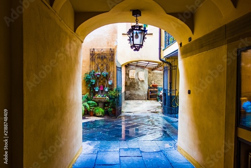Fotografie Courtyard passage with hanging plants and wet stone floor