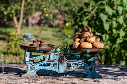 Foto Fresh organic potatoes on vintage mechanical balance scale