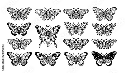 Exotic Butterfly Moth Y2K Tattoo Wings Magic Symbol Vector Set