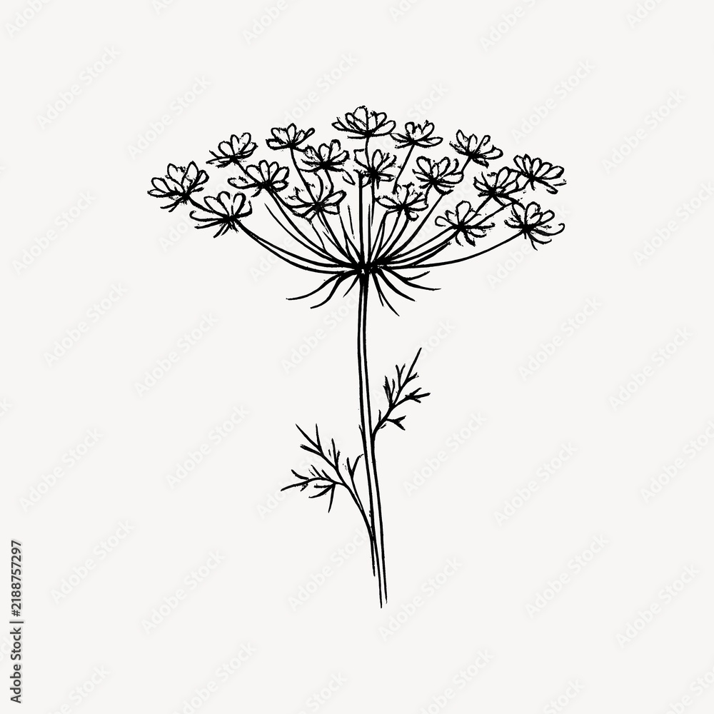 Obraz premium Elegant botanical ink illustration