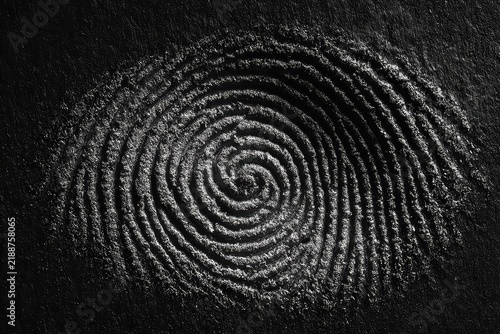 A macro shot of the delicate texture of a human fingerprint