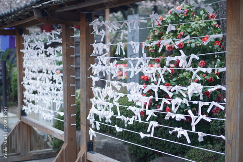 Photography travel in japan at tokyo