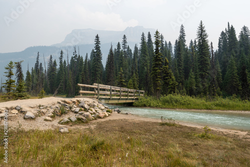Cuadro en lienzo Wooden footbridge crossing a mountain stream along the Emerald Lake hiking trail in Yoho National Park, Canada, surrounded by forest and misty Rocky Mountains