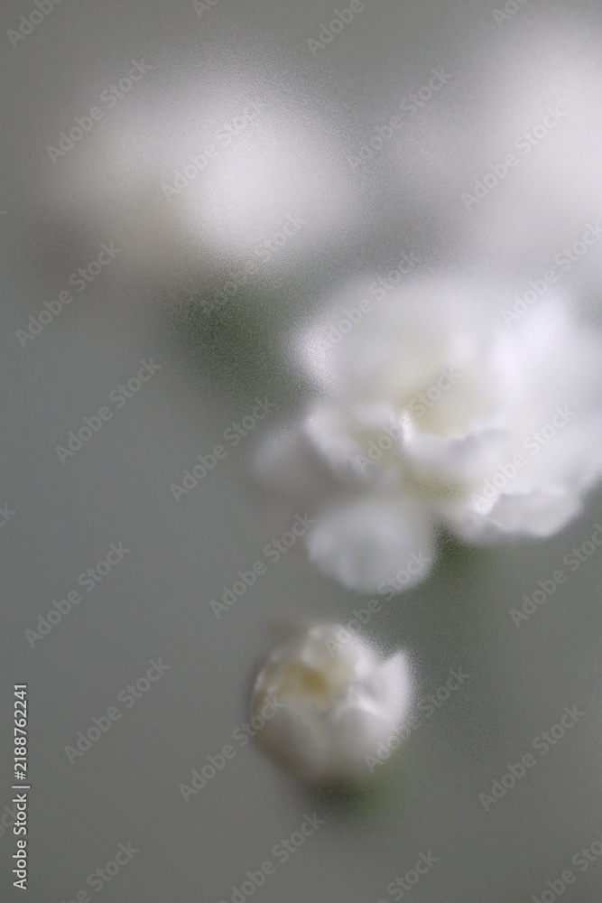 Obraz premium Smoke selected soft focus white carnation Flower through translucent matte frosted glass. Abstract natural blurred grain light fog background.