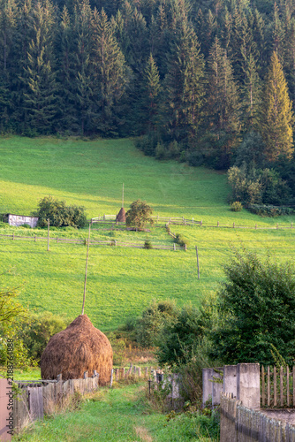 Traditional haystacks on a green mountain pasture in the Carpathian Mountains, Ukraine. Authentic rural landscape, sustainable small-scale farming, and misty spruce forest under sunset light.