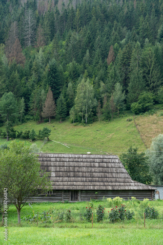 Traditional wooden log cabin with wooden shingle roof in the Carpathian Mountains, Ukraine. Authentic rural folk architecture, eco-tourism heritage, and mixed pine forest background.