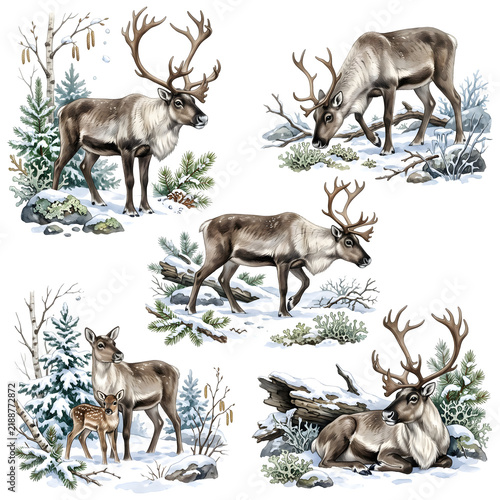 Reindeer and Cute Fawn Watercolor Clip Art Set with Winter Snow and Pine Forest