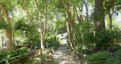 Shaded garden walkway with mature trees in Silves Portugal