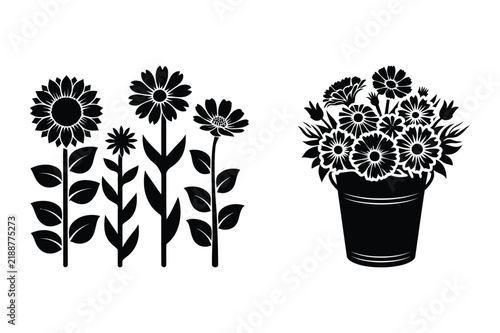 Natural growth of diverse garden flowers and decorative bucket floral arrangement