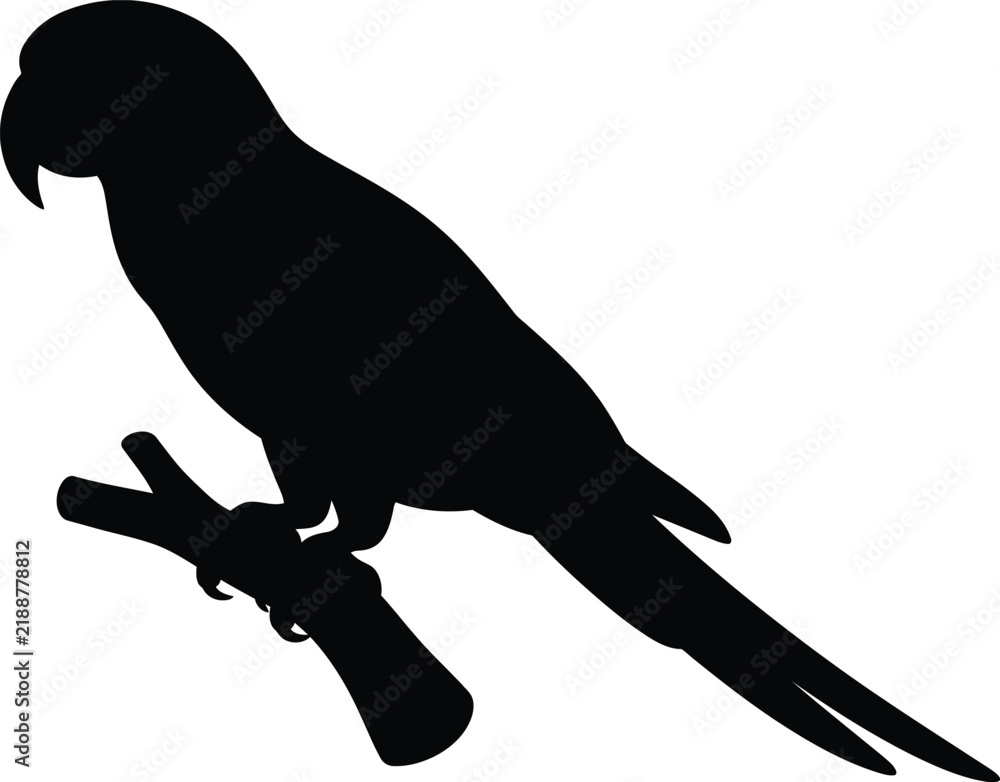 Fototapeta premium Parrot bird silhouette vector. Tropical bird vector icon