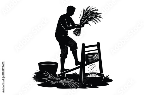 Принти на полотні Farmer threshing harvested rice stalks using a manual wooden traditional tool