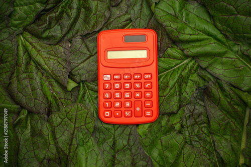 Red Calculator on Leafy Green Background: Eco-Friendly Business Concept