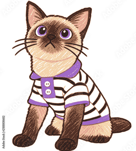 Siamese Cat Using Shirt
