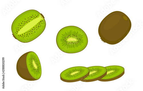 Fresh kiwi fruit set with whole, half, slices and cut pieces vector illustration, green tropical kiwi collection for healthy food and smoothie isolated on white background.