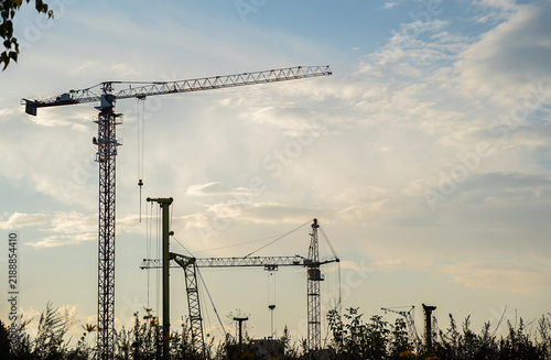 Construction cranes silhouetted against cloudy sky during sunset, surrounded by trees and vegetation in an urban development area