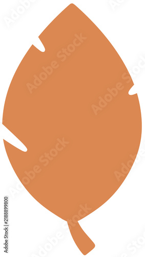 Фотография autumn leaf