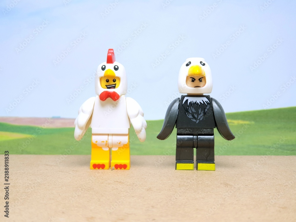 Fototapeta premium Indonesia - June 10, 2025 : Mini toy of action figure at table with blurred background. Miniature diorama photography concept design. Minifigure of white chicken and wild black bird character.