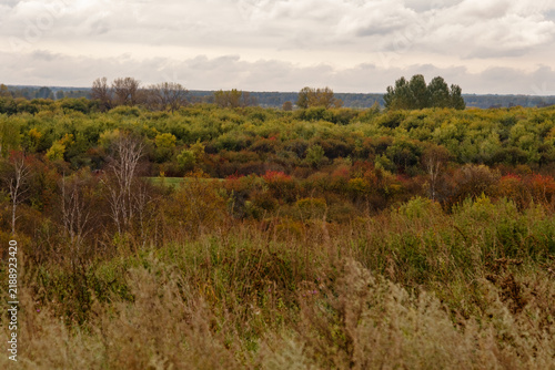 Wide view of a valley with colorful autumn shrubs and forest through the dry grasses of the foreground