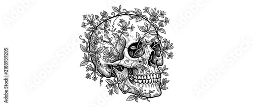 Bild auf Leinwand Vintage Skull with Floral Vines Illustration