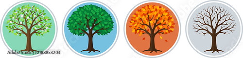 Four Seasons Tree Icons Showing Seasonal Changes in Circular Frames Vector Illustration