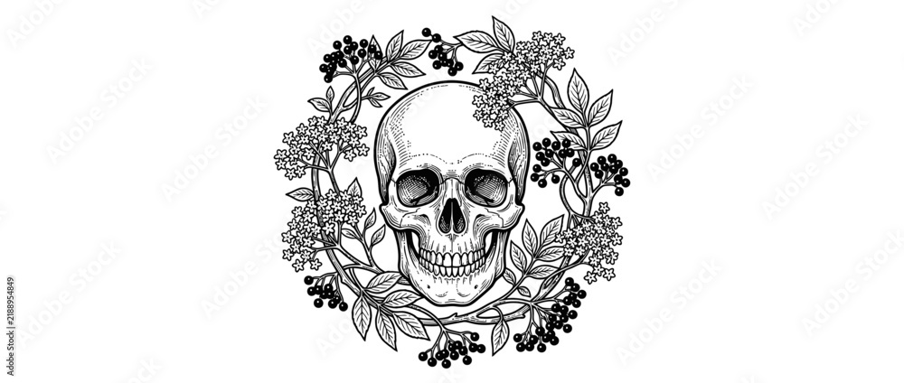 Fototapeta premium Isolated skull with floral wreath, gothic illustration