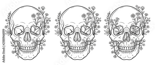 Floral Skull Illustration Isolated