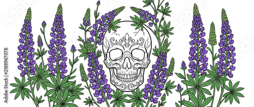 Ornate Skull Surrounded by Purple Lupine Flowers