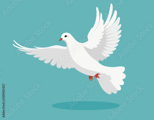 Flying white dove symbol of peace. Flying Dove Illustration isolated on white background.