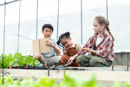 Foto Three schoolchildren study carrots and lettuce in greenhouse as one girl uses magnifying glass, boy holds notebook and classmate works soil, combining science observation, teamwork, gardening