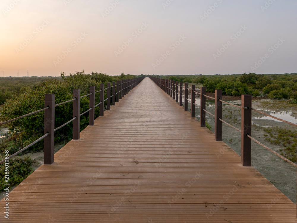 Obraz premium Long wooden boardwalk pathway stretching far into a lush green mangrove forest ecosystem at Purple Island in Al Khor Qatar.