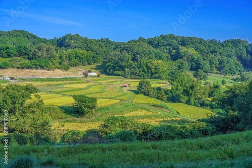 明日香村で見た日本の原風景 初秋の青空と広がる美しい棚田の里山風景