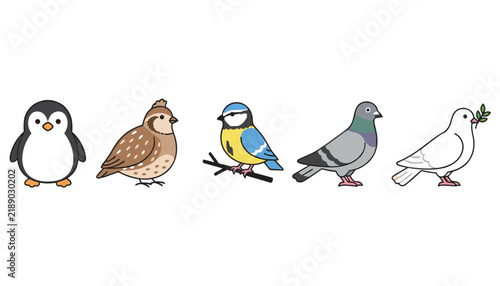 Cute set of five diverse cartoon birds including a penguin, sparrow, tit, pigeon, and white dove of peace.