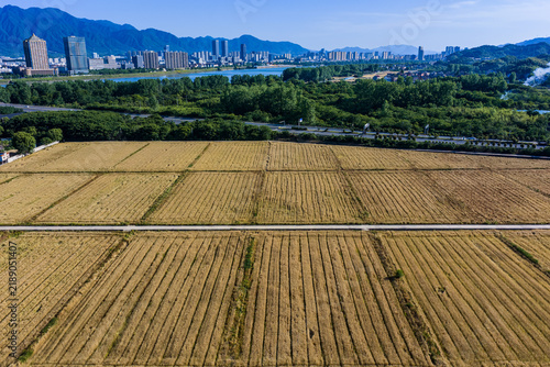 Quadro su tela Scenic View Of Meirong Village Fengchuan Town Tonglu County Hangzhou
