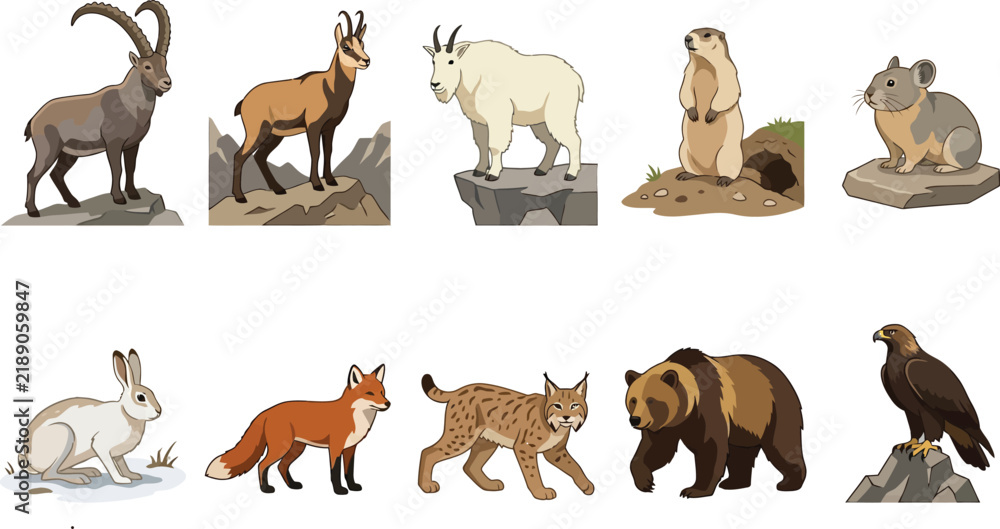 Obraz premium Mountain Wildlife Collection Vector Illustration in Natural Habitats