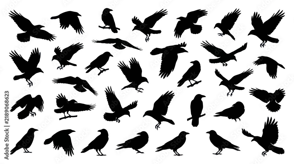 Fototapeta premium Black raven and crow silhouettes in various flight poses.