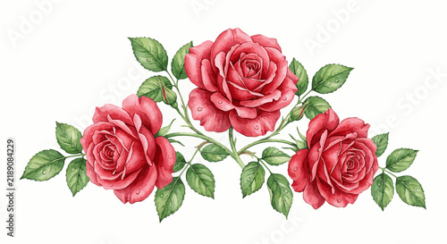 three graceful red roses