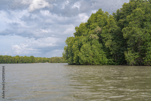 Canvastavla The mangrove forests at the mouth of the Pak Phanang River, they form an important coastal wetland where freshwater meets the Gulf of Thailand