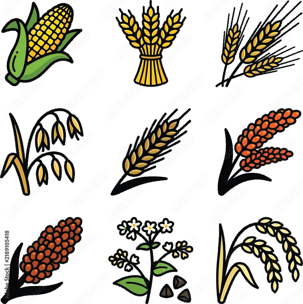 Obraz premium A vibrant collection of cereal grains and crops is depicted in a clear, illustrative style, showcasing various staple foods like corn, wheat, oats, and rice with distinct colors and textures.