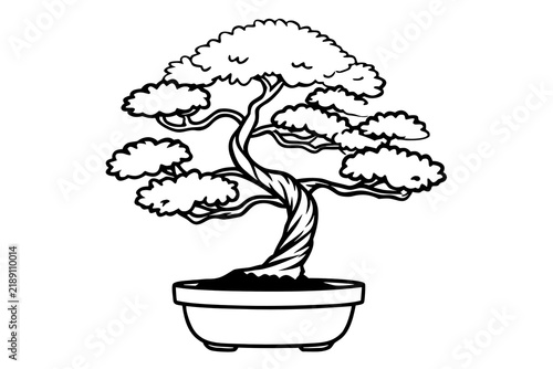 Beautiful bonsai tree in a ceramic pot