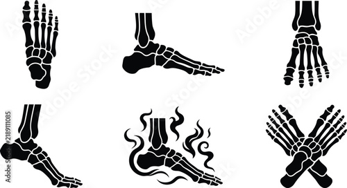 Bild auf Leinwand Six black silhouette foot bone diagrams on white background showing anatomical s